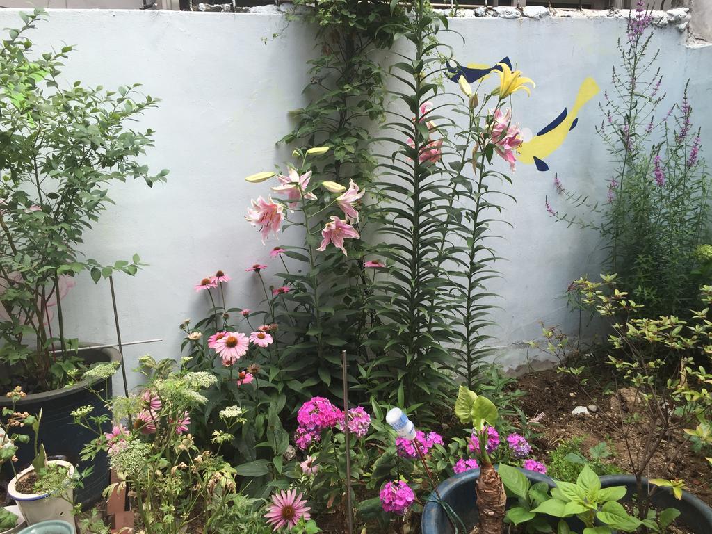 Duri Guest House Seul Dış mekan fotoğraf